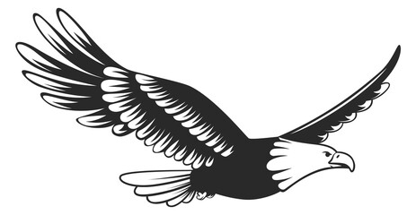 Poster - Flying eagle logo. Black power bird symbol