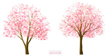 Vector Watercolor Blooming Flower,Sakura Tree Or Forest Side View Isolated On White Background For Landscape And Architecture Drawing,elements For Environment And Garden,botanical In Spring 