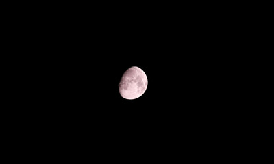 Wall Mural - Moon on dark black sky background, shot from surface of earth with very long telephoto lens. Grey white moon glowing at clear sky.