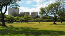 Aerial: Drone Flying Forward And Ascending Over Trees In Park Near Buildings Against Sky On Sunny Day - Waikiki, Hawaii