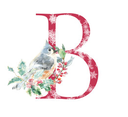 RED ABC alphabet, watercolor Christmas letter B. Woodland forest animal, Bird with holly berry, winter flowers, Noel, new year decor, Merry Christmas , greeting cards, logo, monogram initial