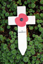 A Remembrance Cross With Poppy Flower
