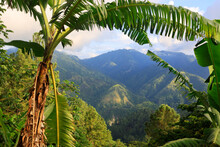 The Blue Mountains In Jamaica, Caribbean, Middle America