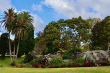 Trees And Rocks In A Large Parkland
