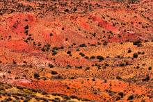 Painted Desert Orange Sandstone Arches National Park Moab Utah