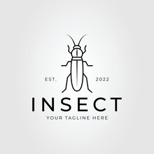 Cricket Or Cicada Or Cockroach Or Grasshopper Insect Logo Vector Illustration Design.