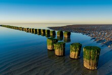 Old Breakwater Made Of Wooden Logs On The Beach In The North Sea In Holland
