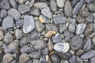 Poster - Light gray round stone on floor, in the park.