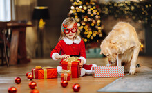 A Little Girl Has Prepared A Gift For Her Golden Retriever Dog Near The Christmas Tree