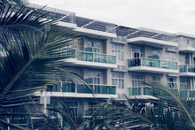 Palm Tree Branches Level Windows Multi-storey Building Modern Green Glass Balcony. Architecture Background