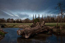 A Collapsed Tree Trunk Sits In The River Bulbourne.