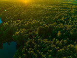 Fototapeta  - View of the forest from the drone. Concept of forest and trees from the air. Taking care of the environment.