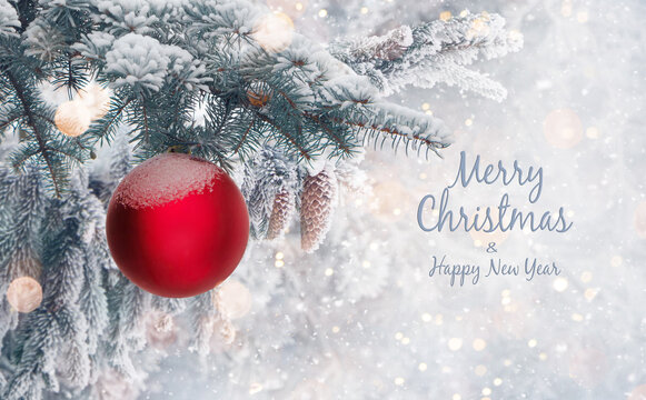 Merry Christmas and Happy New Year