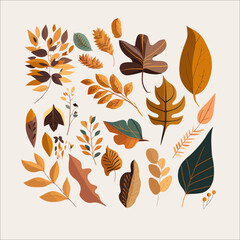 Poster - Autumn leaves. Fall forest leaves, cozy doodle floral herb. Foliage, plant elements bundle. Different fall leaves. Autumn forest, yellow fall, foliage color isolated on background. Vector illustration