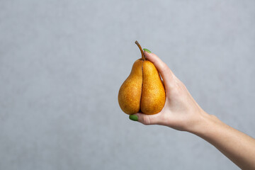 funny pear in shape of a butt. appetizing juicy yellow pear in female hand on gray background with copy space for text. girl holds a pear in shape of female body. one dietary organic erotic fruit