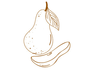 Wall Mural - Doodle set whole fresh yellow pear and slice. Vector illustration