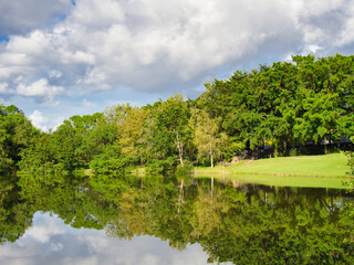 A walk in the park is a great way to get some fresh air, enjoy nature, and refresh your mind, If you’ve ever wanted to take a walk in the park, but can’t find the time, then this is for you.