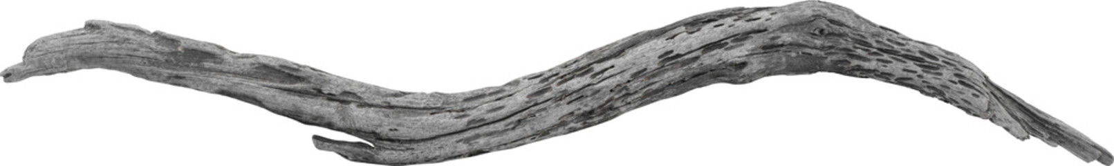 Dry branch tree naturally.