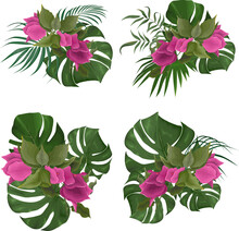 Collection Of Tropical Plants On A White Background. Pink Bougainvillea, Monster Plant Leaves, Palm Trees, Tropical Leaves. Tropical Compositions 