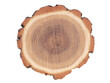 Cross section of tree stump