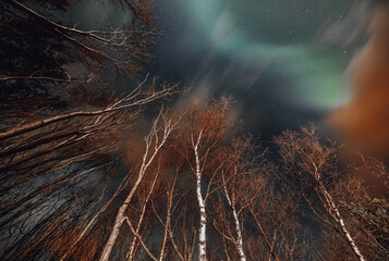 Wall Mural - aurora northern lights