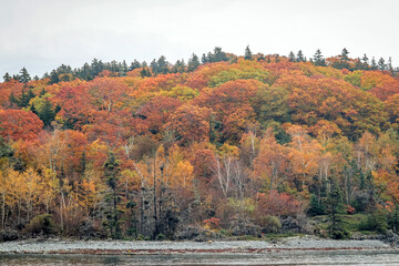 Poster - Bar Harbor, Maine, USA