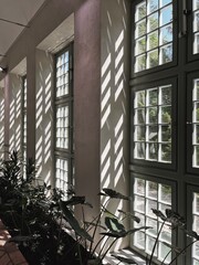 Wall Mural - Window with warm sunlight shadow reflections silhouette. Aesthetic bohemian home interior with tropical plant leaves