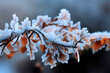 Frost on a branch with brawn leaves in the snow background,  Generative AI	