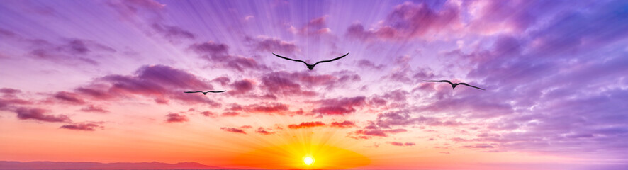 Wall Mural - Inspirational Banner Sunset Birds Sun Rays Surreal Colorful Banner