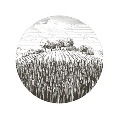 Wall Mural - field of wheat. Ears of cereal. Rural landscape panorama. Hand drawn black silhouette illustration. Countryside engraving
