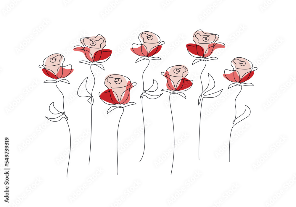Roses flower set linear contour silhouette isolated on white. One line ...