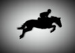 Graphics design silhouette horseman horse racing for the race with gray background vector illustration