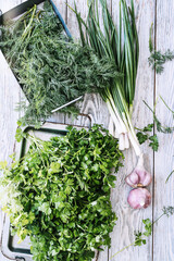 Wall Mural - Fresh parsley, dill, green onion, garlic on white wooden background. Organic local food