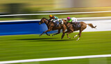 Two jockeys compete to win the race. Horse racing. Horses with jockeys running towards finish line.