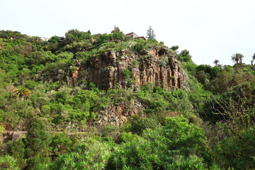 view in the canary botanic garden viera y clavijo in the north of gran canaria