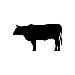 Wall Mural - cow silhouette - vector illustration