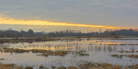 Wall Mural - Colorful winter evening sky over the marsh with reflection of sunlight in the water in Bourgoyen nature reserve, Ghent, Flanders, Belgium