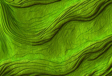 Green Wood Texture, Abstract Green Background, Illustration, Digital