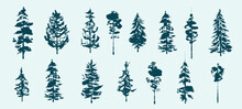 Christmas Trees. Fir Trees. Textured Ink Brush Drawing. Vector Illustration