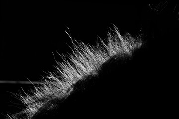 Sticker - Abstract view of horse mane hair with dark low key lighting.