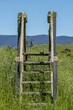 Vertical shot of stairs to nowhere surrounded by a meadow with mountains in the background