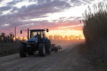 Wall Mural - Tractor passing on unpaved land between wild grass at sunset otange time