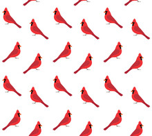 Vector Seamless Pattern Of Flat Hand Drawn Red Cardinal Bird Isolated On White Background