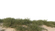 © Poprock3d - sand dunes and grass