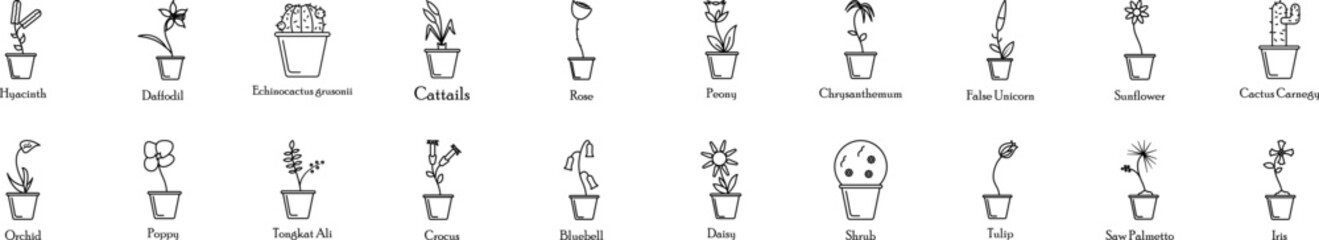 Poster - Flower icons collection vector illustration design