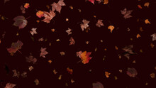 Fall Themed Background, With Leaves Against Deep Plum Red Color. Seasonal Banner With Copy-space.