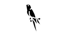 The Lears Macaw Bird Exotic Glyph Icon Animation