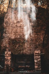 Poster - Vertical shot of grilling meat on grill