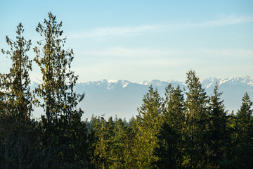 Wall Mural - 2022-11-28 VIEW OF THE OLYMPIC MOIUNTAINS WITH A LIGHT SKY AND EVRGREEN TREES FROM CAMINO ISLAND