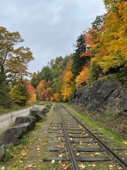 Wall Mural - Natural view of an old railway and autumnal forest in Huntsville, Ontario, Canada